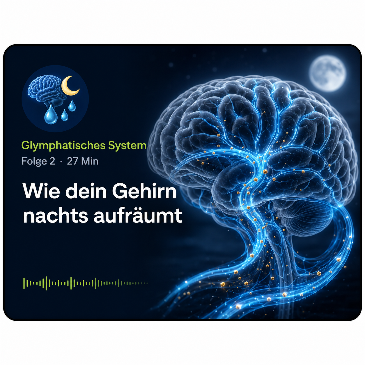 Glymphatisches System – wie das Gehirn nachts Giftstoffe entsorgt